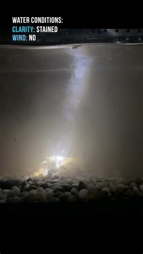 Understanding BASS in STAINED water (Fish Tank Example)