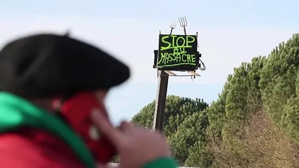 French farmers block roads over cattle culls due to lumpy skin disease
