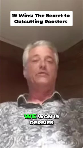 We won 19 derbies that year. Big Josh said we don't outfight 'em, we outcut 'em every time. #Gamefowl #RoosterFighting #Cockfighting #Derby