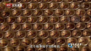 [环绕声三集全]Shock and Awe-The Story of Electricity电的故事