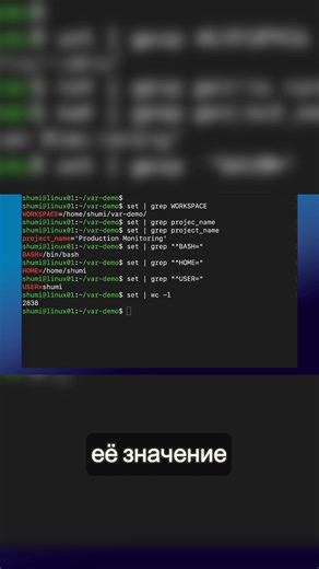 How to Use Variables Effectively in Scripts