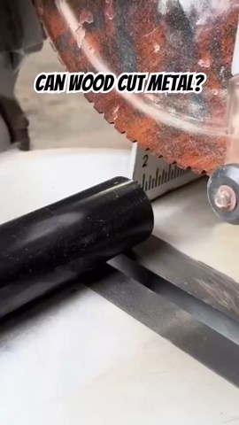 Can wood really cut through metal? 🤔