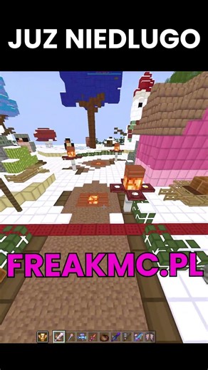 Freakmc.pl #shorts #minecraft