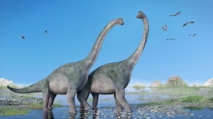 Dinosaurs ate 'magic mushrooms' with mind-bending LSD highs, scientists reveal