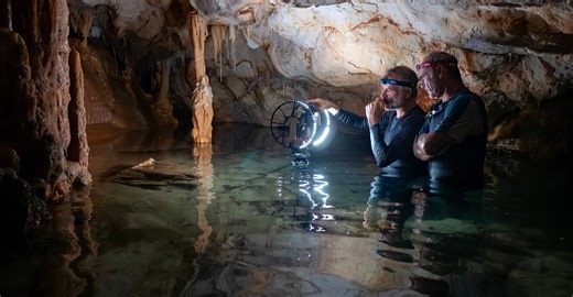 Alabama cave reveals America’s most complete record of prehistoric life