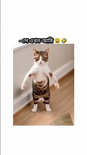 #banglasong #music #coversong #newmusic #musician #ishaanergaan #shuvendu #ishaan #gulbahar #funny