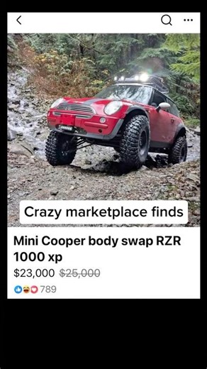 Mini cooper body swapped RZR