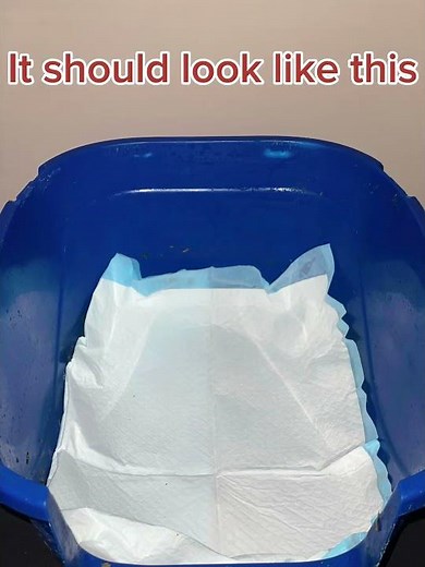 How to set up rabbit/bunny litter box (EASY!!! Step by Step!)❤️ #bunny #cute #rabbit #youtubeshorts