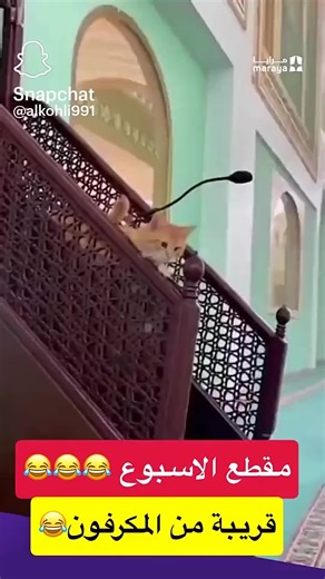 Vidéos de Hamid Volvo (@hamid.volvo) avec Originalton - funnyvideos