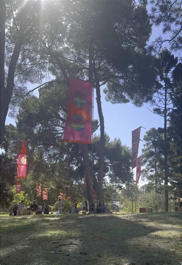 WOMAD 2025: A Unique Festival Experience ☁️✨