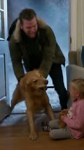 "I Locked My Golden Retriever Outside in 2-degree Blizzard for “Attacking” My 5-year-old Daughter — But When She Rushed to ER Yesterday, Head Doctor Revealed Unthinkable Made Me Cannot Standing Like Normal Anymore. CHAPTER 1: THE SILENT STORM The sound of a dog’s nails clicking against hardwood usually meant one thing in our house: it was dinner time, or Barnaby wanted a belly rub. It was a rhythm I had lived with for seven years, a comforting, domestic metronome. But tonight, the sound was diff