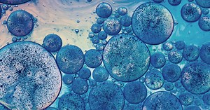 Molecular Basis for Drug Targets and Diseases