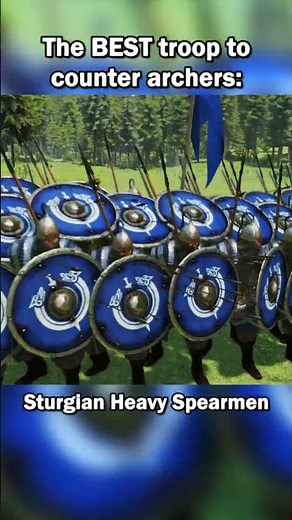 My FAVORITE Troop in Bannerlord! #mountandblade2 #mods