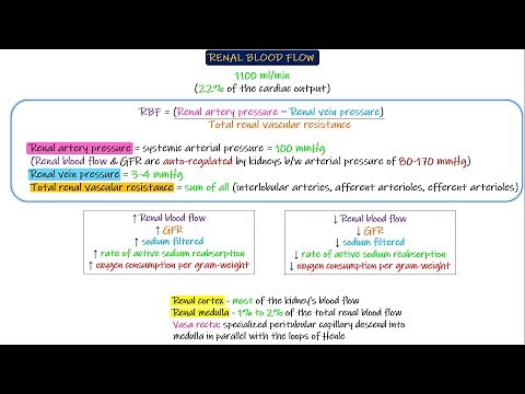 Renal blood flow. Chapter 27 part 4. Guyton and Hall Physiology.
