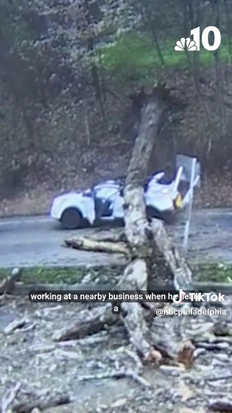 Video shows the moment a tree toppled over and crushed a vehicle in Kennett Square, Pennsylvania. The incident occurred Monday, April 7, 2025, along the 1600 block of East Street Road. A witness told NBC10 he was working on the roof of a nearby business when he heard a crashing noise and then spotted a massive tree falling. Surveillance video from KARCO Gas Station shows the tree toppling over and crushing a white SUV that had stopped behind another vehicle. Moments later, a driver gets out of t