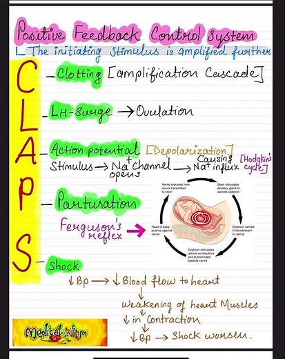 Positive feedback mechanism (mnemonic for positive feedback control system)