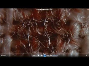 Opening to Insomnia 2002 DVD