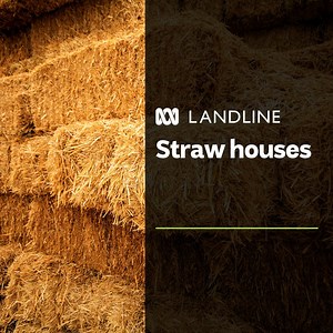 2.1M views · 2.9K reactions | It's strong, fire-resistant,...