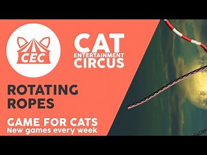 CAT STRING GAME - Video for cats to watch - Rotating Ropes
