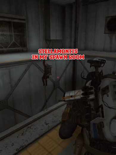 Ultimate Among Us Gameplay Guide and Tips