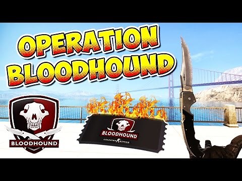 CS:GO - Operation Bloodhound Update - What's new? :)