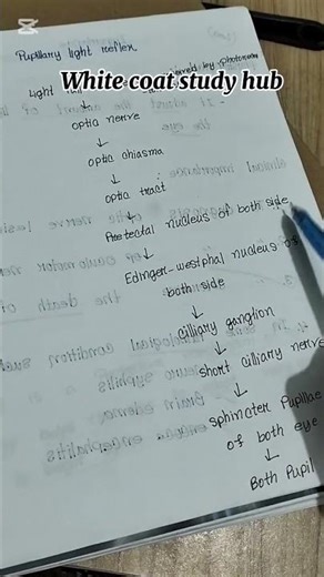 pupillary light reflex #anatomy #physiology #nervoussystem #braineye