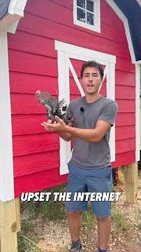 They Called Me An Animal Abuser