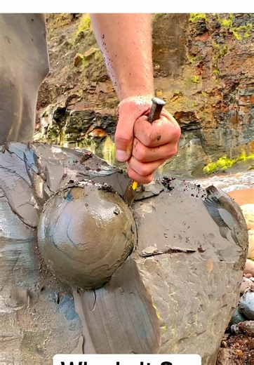 Exploring a Jurassic Age Landslide: Exciting Fossil Find