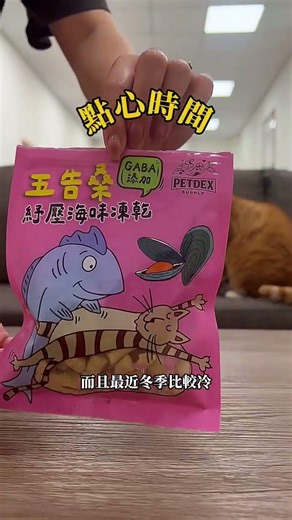 你家貓咪也是常常 #掉毛 嗎? 試試看這款 #潔淨手套 吧！一擦、二梳、三通，浮毛輕輕鬆集在一起✨