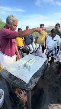 Fish auction at Muthukuda fish market #fishing #fish #food