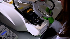 Inducing Long-Term Plasticity of Intrinsic Neuronal Excitability in Neurons of the Dorsal Lateral Geniculate Nucleus