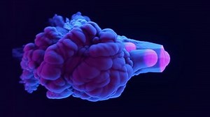 Dynamic Smoke Blast Logo (Widescreen Version) | Renderforest