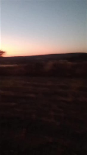 Videos de libra (@libra_77.e) con “original sound - Oliva Andrade”