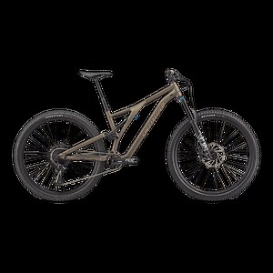 Stumpjumper Comp Alloy  - SRAM NX Eagle, Fox Rhythm