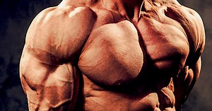 12 Best Bodyweight Shoulder Exercises   Workout – Fitness Volt