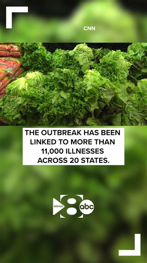Is lettuce safe again?