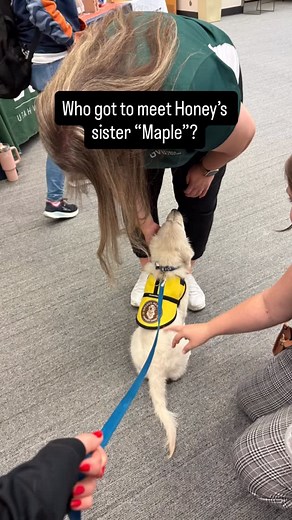18 reactions | Did you get to meet “Maple” today? Biscuit, Honey & I were actually on campus but I had to leave immediately after arriving (Biscuit was so mad 臘‍♀️) I’m feeling much better and look forward to my next opportunity to work an event with my daughter @d3s1tr0n and her new baby “Maple” and of course Biscuit & Honey  Thank you @doggymanmike for how you showed up for Desiree and I in a really scary time. | Biscuit On A Mission | Facebook
