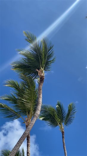 The best way to kick off the weekend: Privilege Beach Club at Las Olas, amazing views – the perfect place to disconnect. 🌊👙⛱️ Who’s in today? | Privilege Club