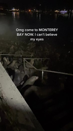 Exploring Fisherman's Wharf in Monterey Bay, California