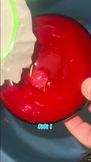 トイレットペーパーでスーパーボールすくいチャレンジ！