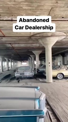 still in perfect shape 😳 #oldtimer #cartok #1970s #70s #pontiac #firebird #transam #abandoned #dealership #car #retro #keephistoryalive #remember #limitededition #fypシ #viral #backintime | Fueled For Lyfe
