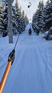 Vlasic LIVE on Reels