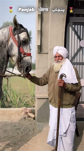Panjab di nasal 🙏❣️ #horse #shonkpunjabde #horseriding