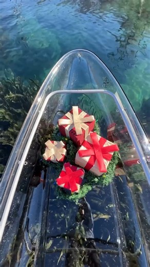 Adventure awaits you this holiday season at Merritts Mill Pond in Marianna, FL ☀️💦 * #getupandgomerrittsmill #ecotour #clearkayak #lovefl #visitflorida #mariannafl #merrittsmillpond #adventuretime | Get Up And Go Kayaking