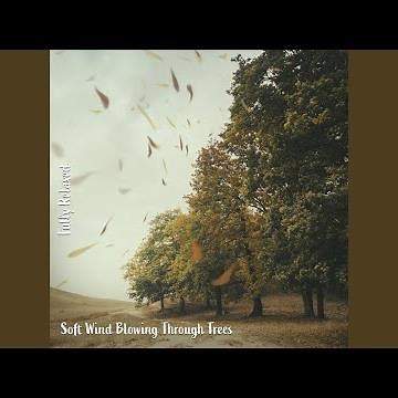 Soft Wind Blowing Through Trees, Pt. 1