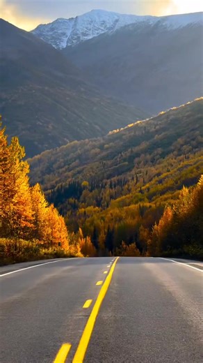 Alaska is absolutely wild 🇺🇸Raw, untamed, and untouched in the best way.Places like this remind me how powerful nature really is.#alaska #tr