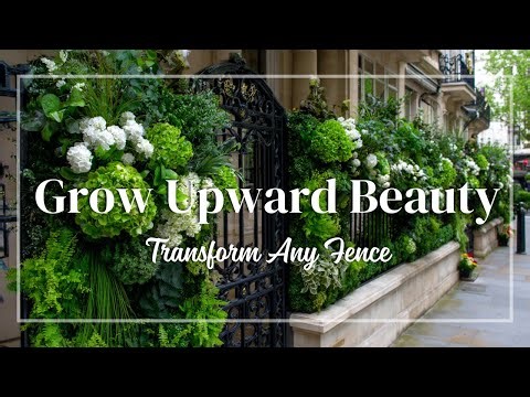 Brilliant Vertical Garden Ideas for Fence Walls | Add Life to Small Spaces Creatively