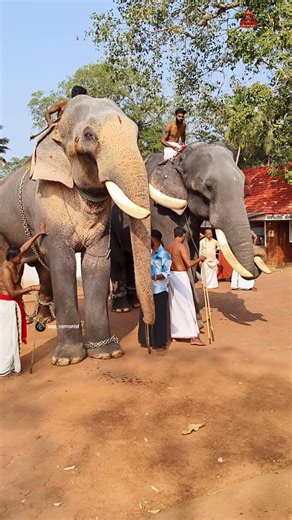 SAP_ramanist on Instagram: "അണ്ണൻ-തമ്പി ഷോ🔥🫶🏻❤️ @sap_ramanist #thechikottukavuramachandran #sap_ramanist #sreeramajayam"