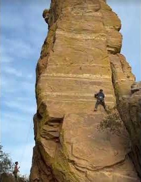 #fyp #fypシ゚viral viral shorts