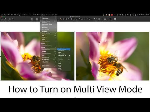 How to Turn on Multi View Mode: Capture One in One Minute